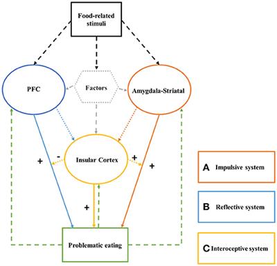 Decision Making Deficits in Relation to Food Cues Influence Obesity: A Triadic Neural Model of Problematic Eating